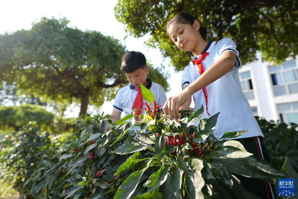 九州 最新发布页